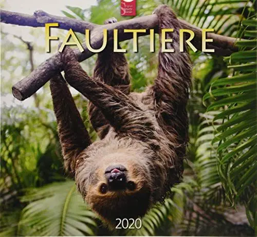Produktbild: Faultiere: Original Stürtz-Kalender 2020 - Mittelformat-Kalender 33 x 31 cm