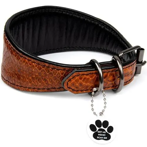 Produktbild: FAVPET Luxus Echtleder Windhund Halsband Breit mit QR Code Anhänger, Weiches Lederhalsband Hund Breit Whippet Italienisches Windspiel Saluki Lurcher Spanischer Galgo Greyhound Podenco (Braun, XS)