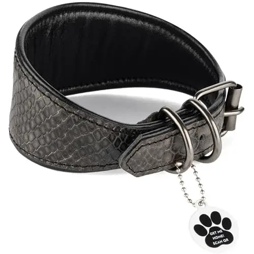 Produktbild: FAVPET Luxus Echtleder Windhund Halsband Breit mit QR Code Anhänger, Weiches Lederhalsband Hund Breit Whippet Italienisches Windspiel Saluki Lurcher Spanischer Galgo Greyhound Podenco (Grau, XS)