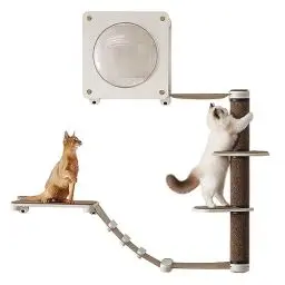 Produktbild: Feandrea Clickat Oasis - Kletterwand Katzen, 5er Set, extrem schnelle Montage, unbegrenzt erweiterbar, austauschbare Module und Teile, Katzenmöbel, Katzenbrett, Hängematte, Kratzstamm, Katzenhöhle
