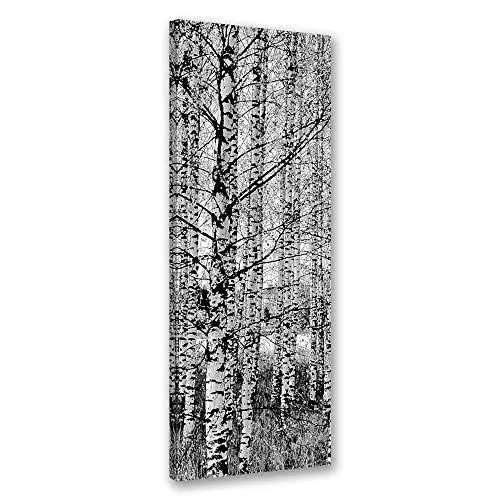 Produktbild: Feeby Leinwand Bilder - Natur - Wald - 50x150 cm- Deko Wohnzimmer - Wandbilder Schlafzimmer - Deko Aesthetic - Wand Deko - Leinwand Groß - Bäume - Deko Zimmer - Leinwandbilder XXL
