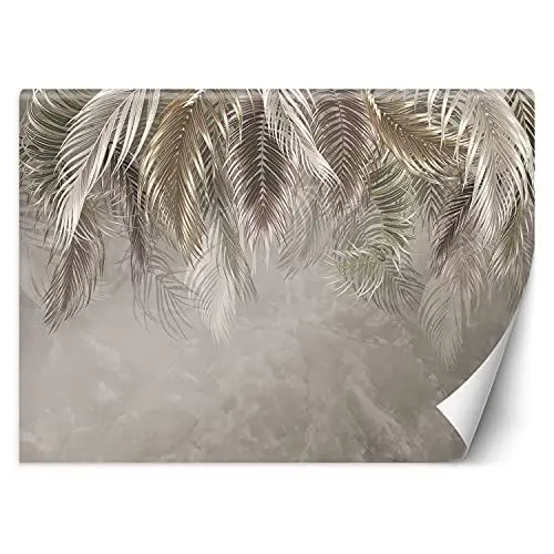 Produktbild: Feeby Vlies Fototapete Schatten Wolken Nebel 368x254 cm Grau Wanddeko Inklusive Kleister Hotel Spa Büro Wohnzimmer Schlafzimmer Flur Textur Tropisches Laub