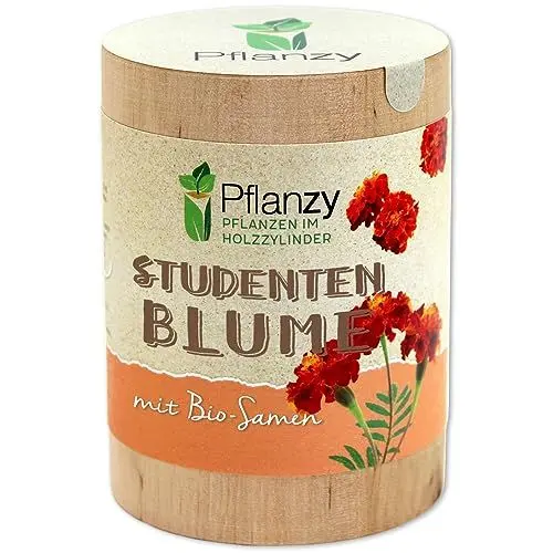 Produktbild: Feel Green Pflanzy Studentenblume, Bio Samen, Nachhaltige Geschenkidee (100% Eco Friendly), Grow Your Own/Anzuchtset, Pflanzen im Holzzylinder, Made in Austria