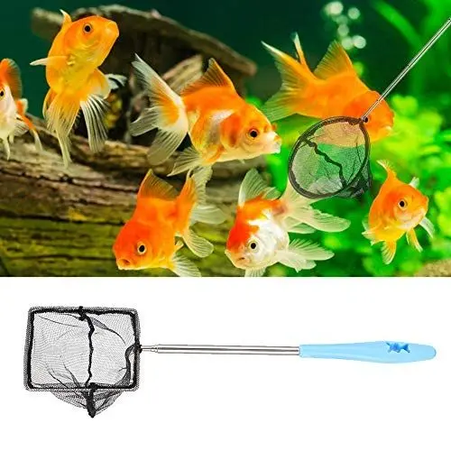 Produktbild: Feinmaschiges Aquariumnetz ohne Stahlaquarium, Ausziehbares Fischgarnelennetz mit Langem Griff. Rundes Professionelles Zubehör für den Einsatz (Quadrat)