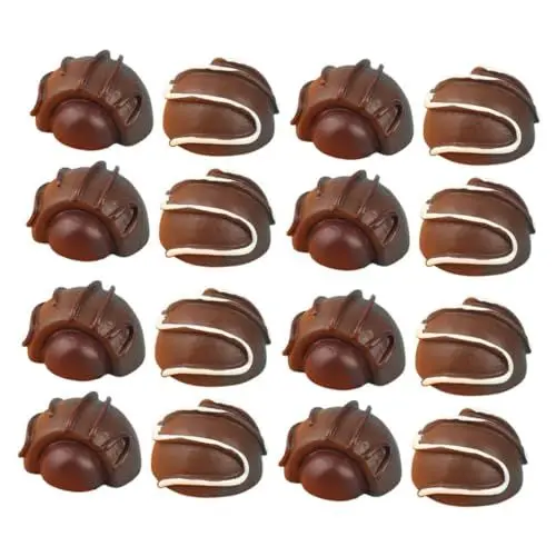 Produktbild: FELTECHELECTR 16St Simulationsschokolade Schokoladenmodelle gefälschte Pralinen Kekse deko kleines Schokoladenmodell pädagogisches Schokoladenmodell Schüttgut Requisiten Nachtisch schmücken Harz