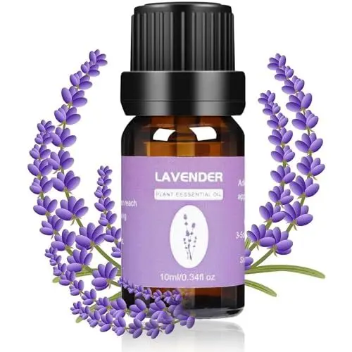 Produktbild: Fenansion Lavendelöl ätherische öle Massageöl, 10ML Körperöl ätherische öle für Diffuser Massageöl öl Essential Oils Defuser Luft Aroma öle Lavendel Entspannendes Pflege-Öl Aromatherapie