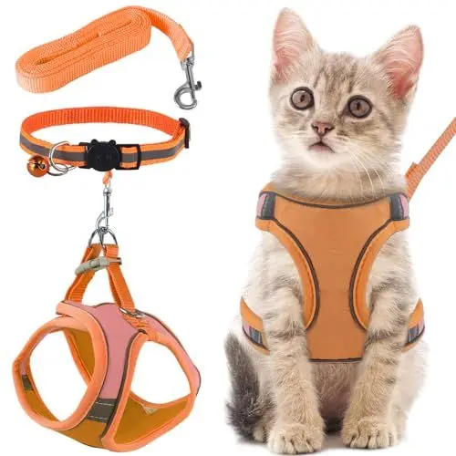 Produktbild: FIHODONE Katzengeschirr mit Katzenleine Katzenhalsband,Katzengeschirr mit Leine Ausbruchsicher,Cat Harness Verstellbar,Katzenleine mit Geschirr für Katzen Orange mit Reflexstreifen (M, Orange)