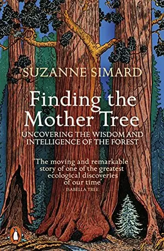 Produktbild: Finding the Mother Tree: Uncovering the Wisdom and Intelligence of the Forest