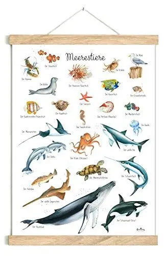 Produktbild: fioniony POSTER 50 x 70 cm MEERESTIERE WEIß UNGERAHMT OHNE HOLZLEISTE Tierposter Lernposter Schulanfang 1. Klasse Kinderposter Kinderzimmer Deko Geburt Babyzimmer Wandbild Schule Kindergarten