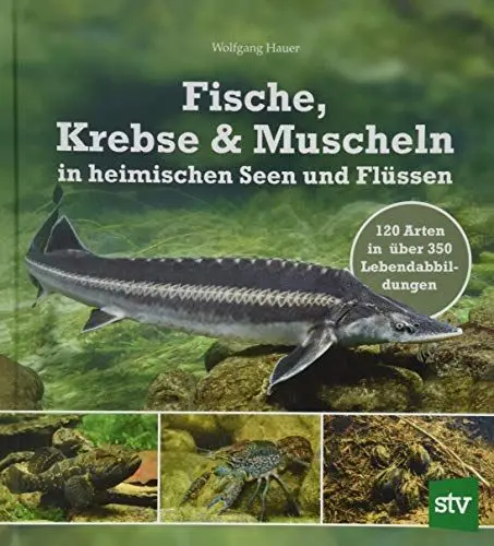 Produktbild: Fische, Krebse & Muscheln in heimischen Seen und Flüssen: 120 Arten in über 350 Lebendabbildungen