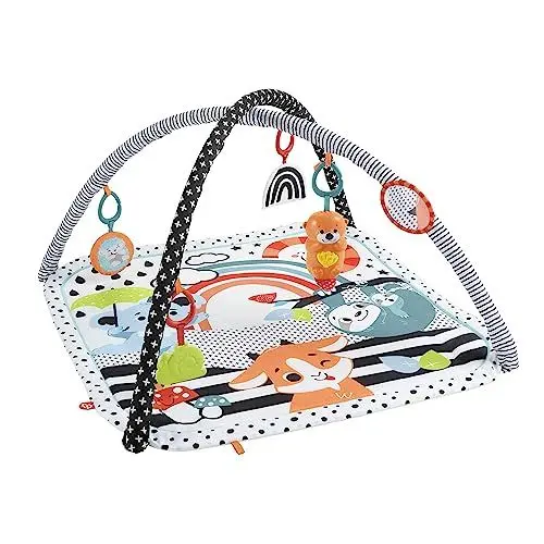 Produktbild: Fisher-Price Tierfreunde Kontrast-Spieldecke, Spielbogen, mit Musik und Licht, Krabbeldecke für Baby, zum Spielen im Bauchlage, Baby Ausstattung, ab Geburt, HPF39