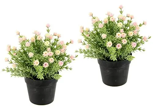 Produktbild: Flair Flower Blütenbusch im Topf Künstlich Wachsblume Heidenkrant Busch Tischdeko Mittelstück Hochzeitsdeko Kunstblumen 020998RSH Hellrosa 20x18x18 cm