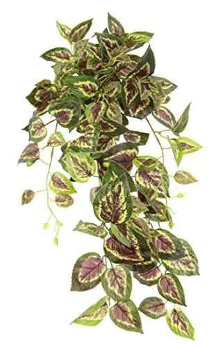 Produktbild: Flair Flower Künstlicher Buntnesselhänger Efeu Ranke Girlande Hängend Kunstpflanze Busch Hänger Pflanze Rankende Pflanzenampel Zimmerpflanze Kletterpflanze Efeuranke, 151724GNR, ca. 80x28x26 cm