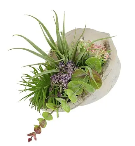 Produktbild: Flair Flower Künstliches Arrangement Sukkulenten Agave Aloe Vera Yucca Sanseveria Pflanze Kakteen Kunstmoos Kaktus Grünpflanze Zimmerpflanze Tischpflanze Kunstpflanze Kunstblume in Muschelschale