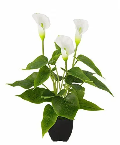 Produktbild: Flair Flower Kunstpflanze Calla im Topf Künstliche Blumen Kunstblumen Seidenblumen Kunststoff Unechte Deko Gefälschte Real Touch Grünpflanze exotische Lilie Grabdeko, 021140W, Weiß, 42x20x20 cm