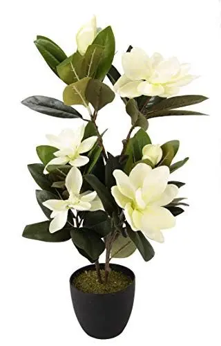 Produktbild: Flair Flower Magnolienbaum Knospe Magnolienbusch im Topf mit Moos Kunstblume Magnolie Künstlich Deko Gesteck Kunstpflanze Seidenblume Magnolienknospe Magnolienblüte Dekoratio, weiß, 68 cm