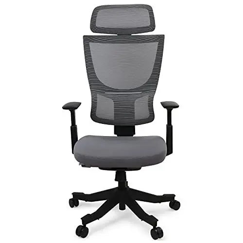 Produktbild: FLEXISPOT Ergonomischer Bürostuhl Schreibtischstuhl Computerstuhl Höhenverstellbarer Sitz Kopfstütze 3D Armlehne Lendenwirbelstütze Lenkrollen Arbeitsstuhl BS8G GRAU