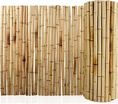 Produktbild: Floordirekt Bambus-Sichtschutzzaun Naturmaterial | Vollrohr Schilfrohrmatte | Schilfmatten Sichtschutz für Balkon, Terrasse oder Garten | Robust und witterungsbeständig (150 x 250 cm, Natur)