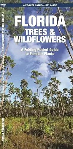 Produktbild: Florida Trees & Wildflowers: A Folding Pocket Guide to Familiar Species: A Folding Pocket Guide to Familiar Plants (Wildlife and Nature Identification)