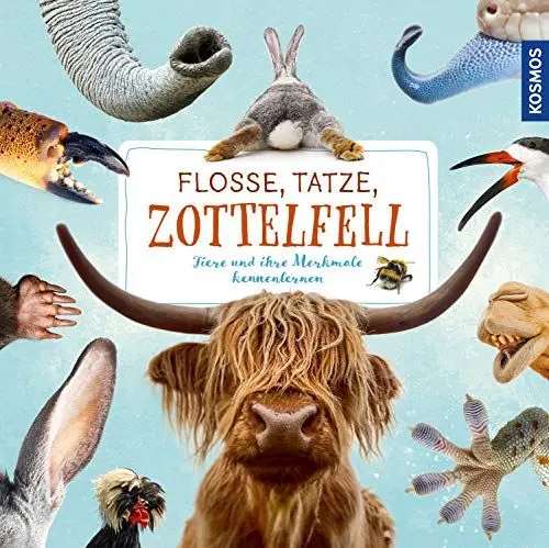 Produktbild: Flosse, Tatze, Zottelfell: Tiere und ihre Merkmale kennenlernen