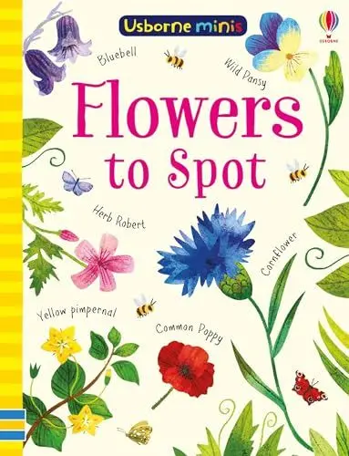 Produktbild: Flowers to Spot (Usborne Minis)