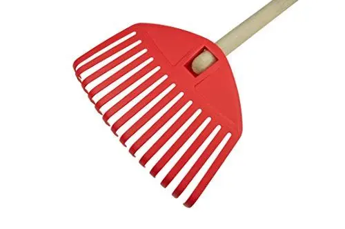 Produktbild: Focus Baby Rechen mit Holzgriff 22 mm x 61 cm