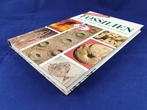 Produktbild: Fossilien: Steinerne Zeugen vergangenen Lebens