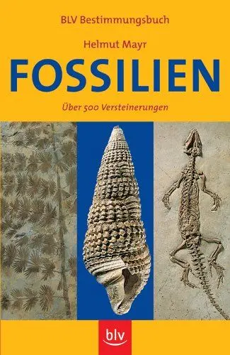Produktbild: Fossilien: Über 500 Versteinerungen