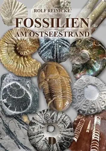 Produktbild: Fossilien am Ostseestrand