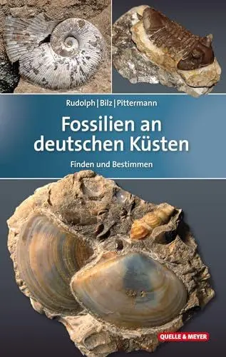 Produktbild: Fossilien an deutschen Küsten: Finden und Bestimmen (Quelle & Meyer Bestimmungsbücher)