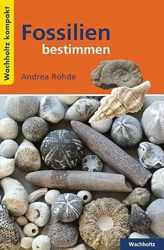 Produktbild: Fossilien bestimmen KOMPAKT (Wachholtz Kompakt)