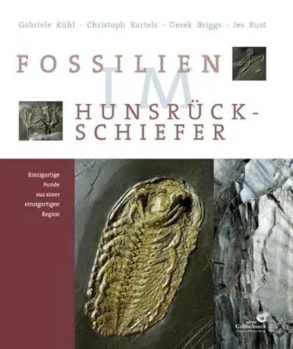 Produktbild: Fossilien im Hunsrück-Schiefer: Einzigartige Funde aus einer einzigartigen Region