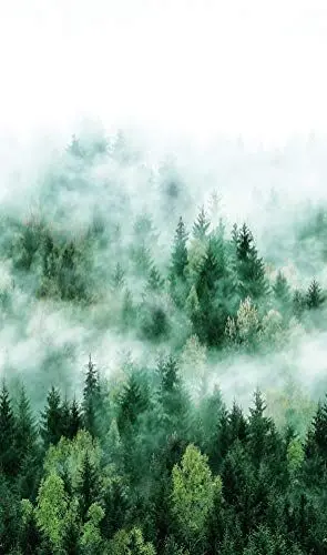 Produktbild: Fototapete Grün XXL Wald Vlies Bäume Tannen Nebel für Schlafzimmer, Wohnzimmer, Küche - Made in Germany - Neu - 2,70m x 1,59m - 47267