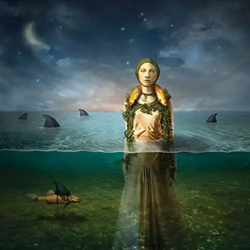 Produktbild: Found In The Flood (Vinyl LP)