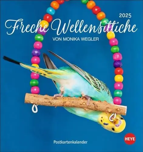 Produktbild: Freche Wellensittiche Postkartenkalender 2025: von Monika Wegler. Die bunten Vögel in einem kleinen Kalender zum Aufstellen und Aufhängen. ... (Postkartenkalender Heye)