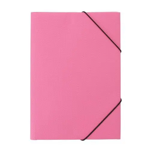 Produktbild: FRETONBA Postmappe A4 Schule, 10er Eckspannermappen a4, Sammelmappe, Papphefter mit Gummizug, aus Kunststoff, Ordner für Büro und Schule, Dokumentenmappe Hohe Ladekapazität Pink