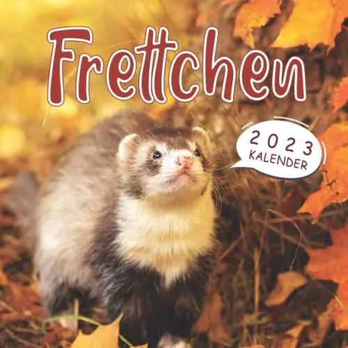 Produktbild: Frettchen 2023: 12-Monats-Kalender von Januar 2023 bis Dezember 2023 - Behalten Sie den Überblick über wichtige Details, Notizen und Termine