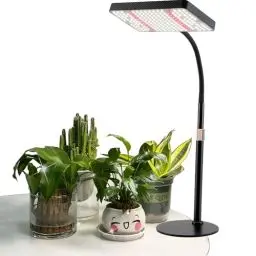 Produktbild: FRGROW Pflanzenlampe LED, UV-IR Vollspektrum Pflanzenlicht für Zimmerpflanzen, Pflanzenleuchte LED, Grow Light mit High PPFD 208 LEDs, Wachstumslampe für Blumen Gemüse Hydroponik, Daisy Chain Funktion