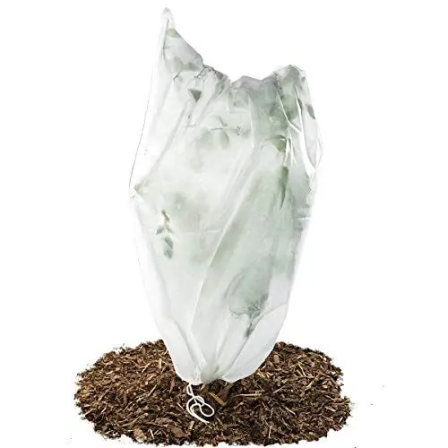 Produktbild: ecosoul Frostschutzhaube Frostschutzvlies 50g/m² Vlies-Schutzhaube für Kübelpflanzen und Rosen (100cm x 155cm)