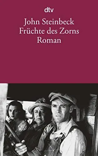 Produktbild: Früchte des Zorns: Roman
