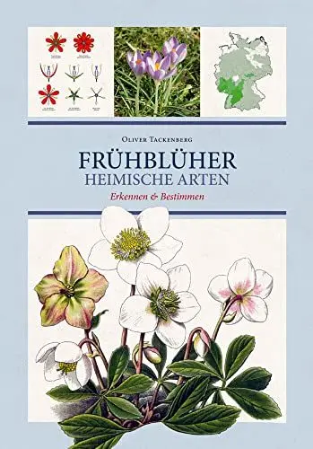 Produktbild: Frühblüher. Heimische Arten.: Frühlingsblumen bestimmen & erkennen