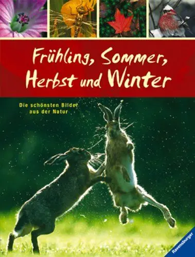 Produktbild: Frühling, Sommer, Herbst und Winter: Die schönsten Bilder aus der Natur