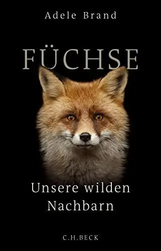 Produktbild: Füchse: Unsere wilden Nachbarn