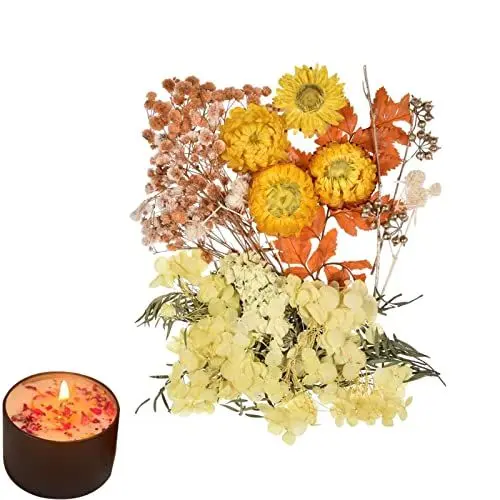 Produktbild: Fulenyi Getrocknete gepresste Blumen Blätter Set | Echte gepresste Blumen, trockene Blätter, Bulk, natürliches Kräuter-Kit - Mehrere gepresste Trockenblumen