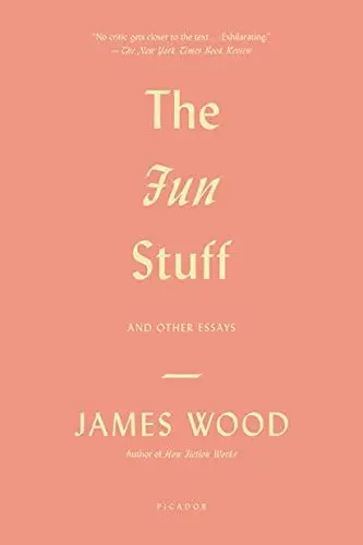 Produktbild: FUN STUFF: And Other Essays