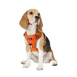 Produktbild: Funfox Hundegeschirr Mittelgroße Hunde (M) - Verstellbares Anti-Zug Brustgeschirr mit Griff & Reflektorstreifen, Atmungsaktives No Pull Hundegeschirr für Grosse/Kleine Hunde Outdoor Orange