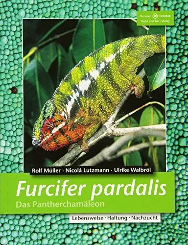 Produktbild: Furcifer pardalis. Das Pantherchamäleon