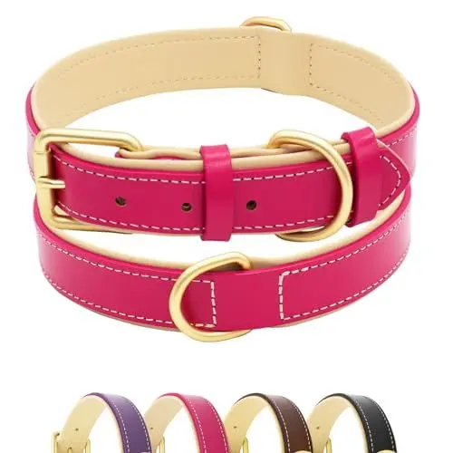 Produktbild: Furry friends Hundehalsband Leder, Robust Echtes Lederhalsband, Weich Gepolstert Hundehalsband für Großen, Mittelgroße und Kleinen Hund(Hotpink, S- 28-38cm)