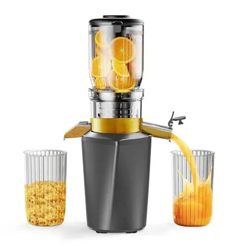 Produktbild: Fyenkfar ENTSAFTER GEMÜSE UND OBST TESTSIEGER - ENTSAFTER SLOW JUICER für mehr Vitamin und Enzyme, OBST und GEMÜSE in ihrer reinsten Form - für gesunde Ernährung und Familienfeiern (silbergrau)