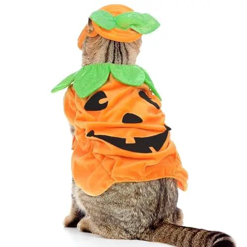 Produktbild: Gadpiparty Halloween-Katzenkostüm mit Kürbis, verstellbares Halloween-Kostüm für Haustiere mit Kürbishut und Outfit, kurzplüschig, orange, für Katzen und kleine Hunde